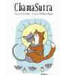 Kama-Sutra pour Chat