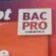 Anal Bac Pro