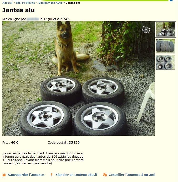 Le chien n'est pas à vendre