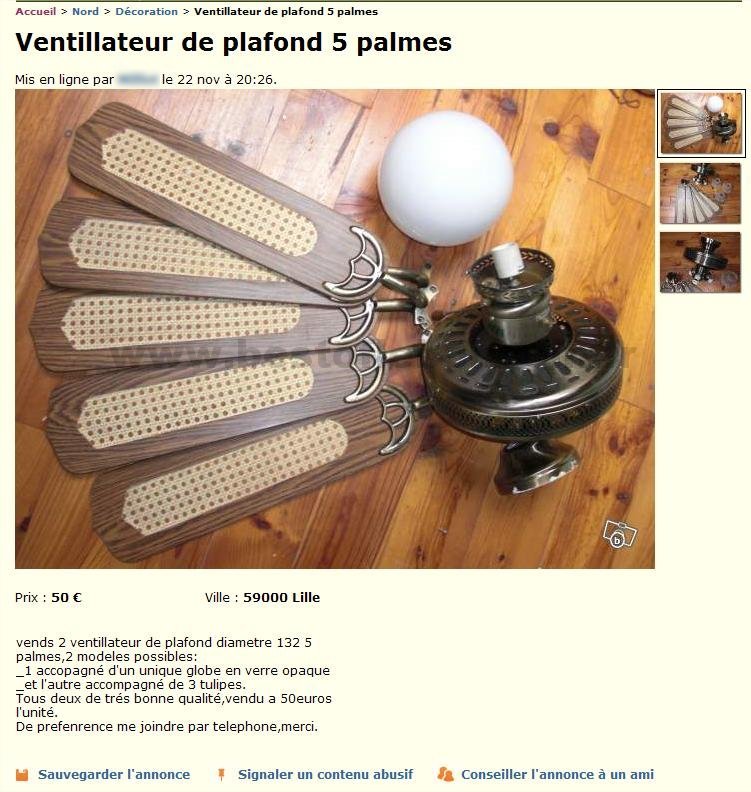 Ventilateur 5 palmes