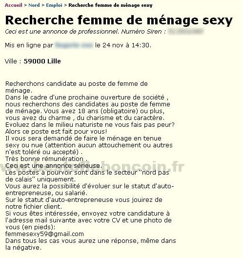 Femme de Ménage Sexy