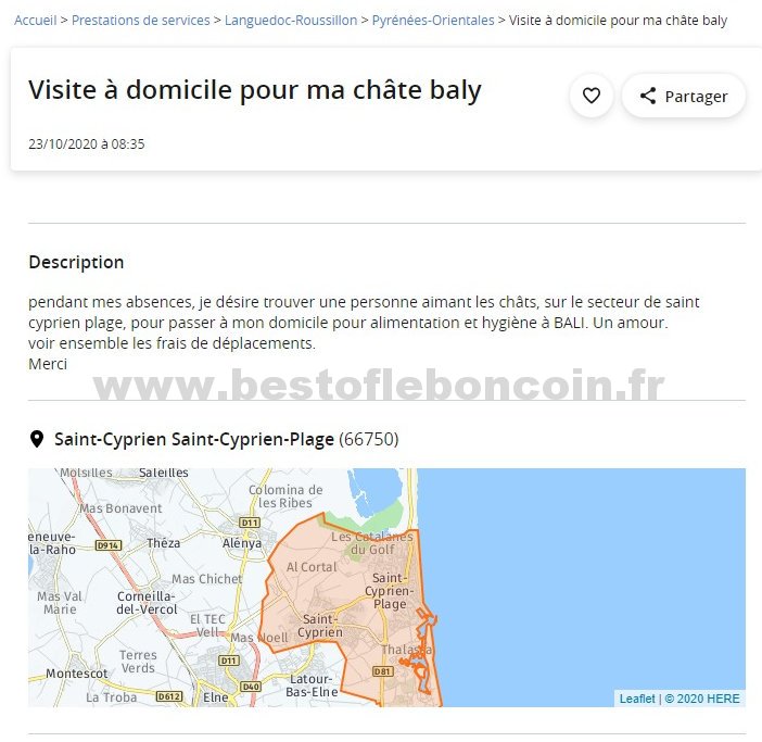 Visite à domicile pour ma châte baly