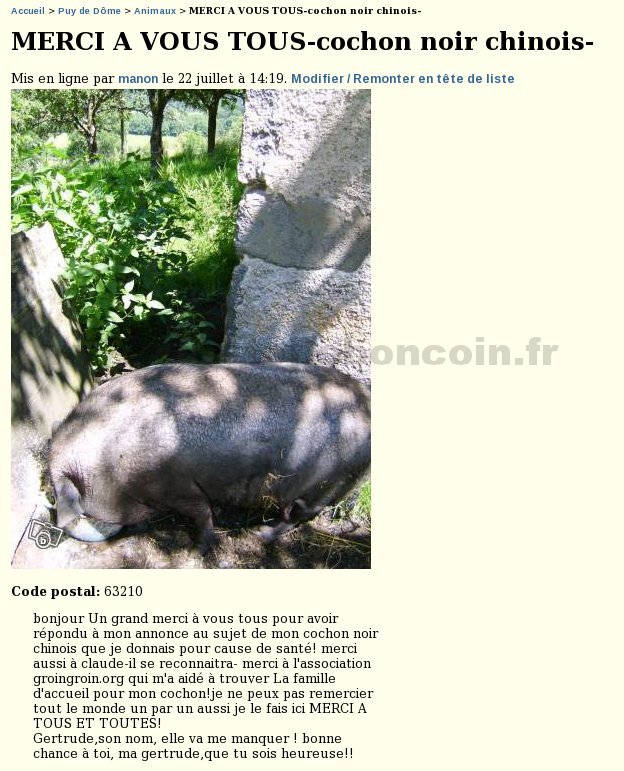 Merci pour le cochon