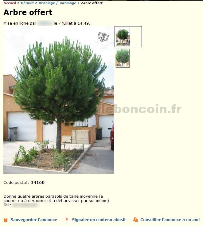 Arbre Offert