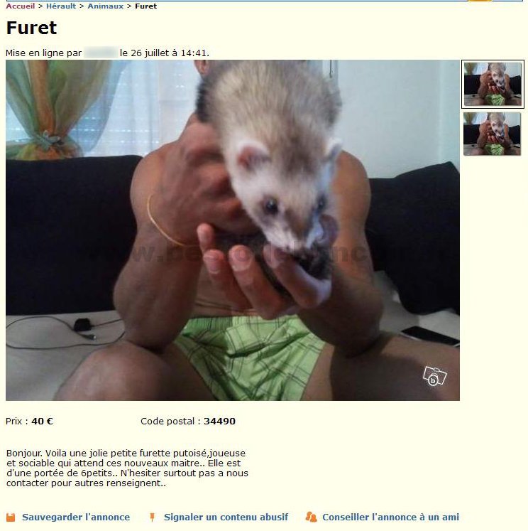 Furet