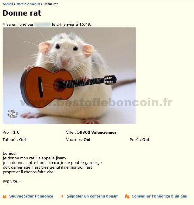 Donne Rat