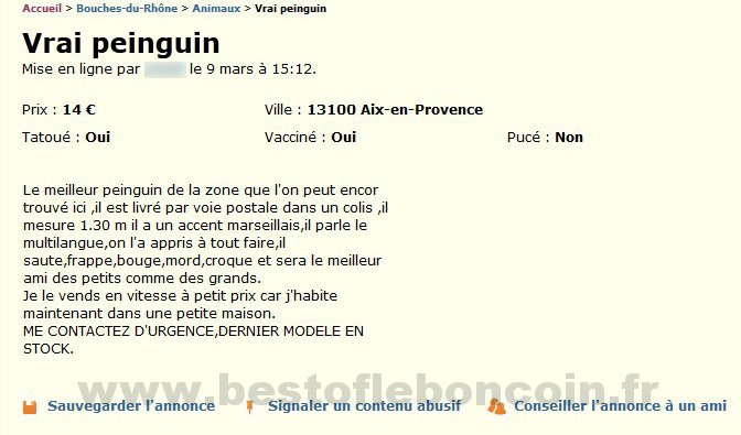 Vrai Peinguin