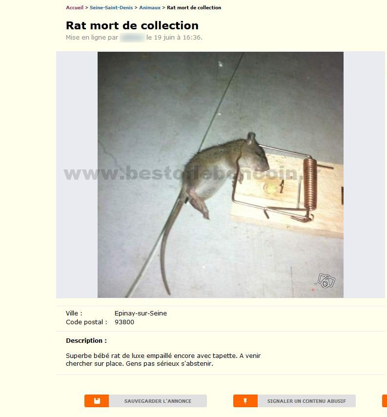 Rat Mort de Collection