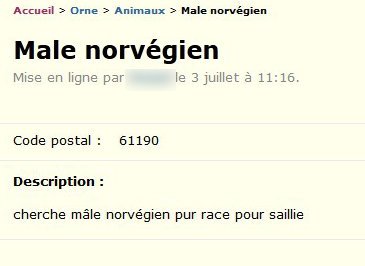 Male Norvégien