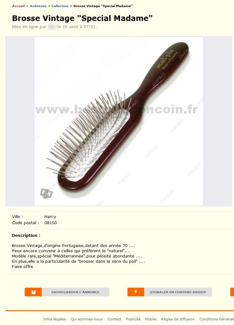 Brosse Vintage "Special Madame"