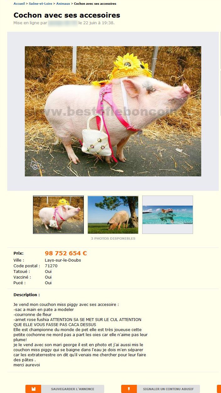 Cochon avec ses Accesoires