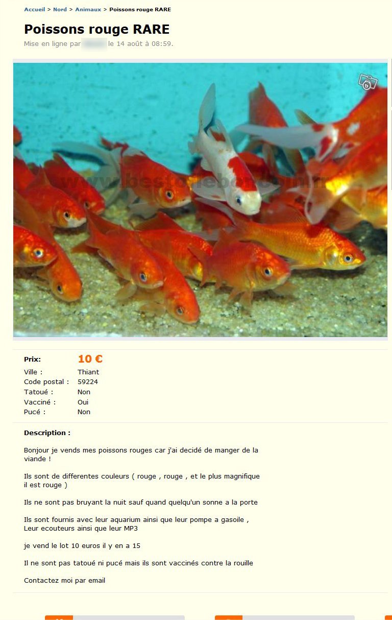 Poissons Rouge Rare