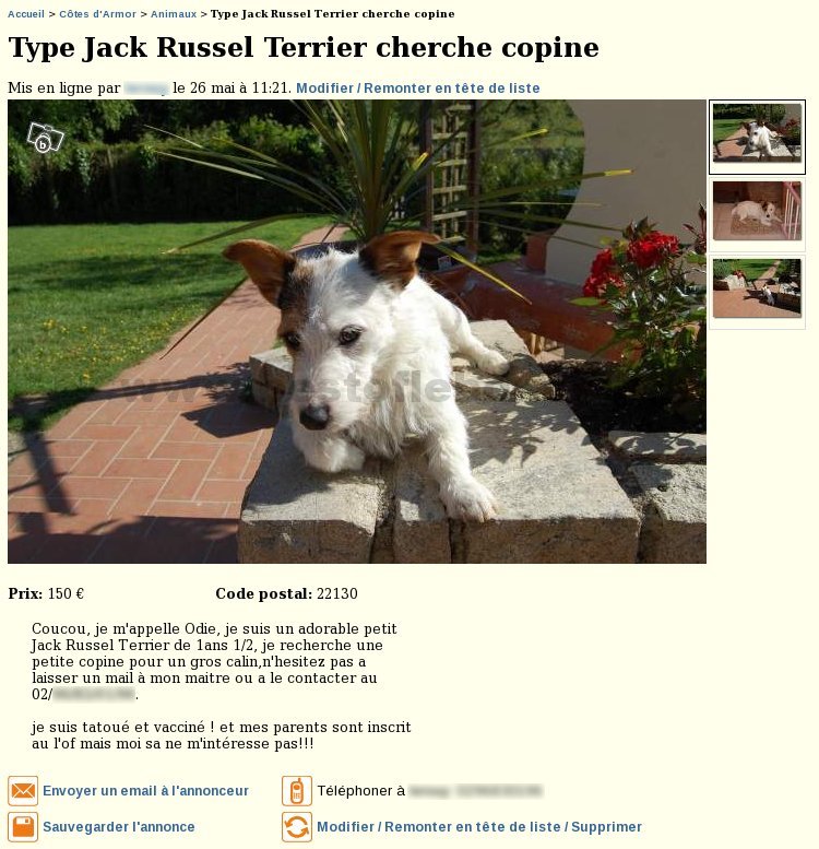 Chien cherche Copine