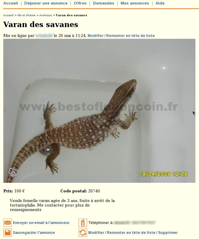 Varan des Savanes