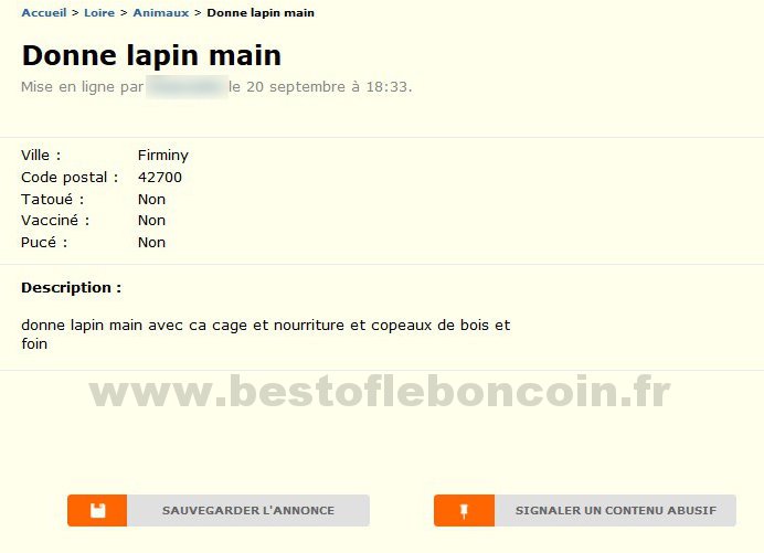 Donne Lapin Main