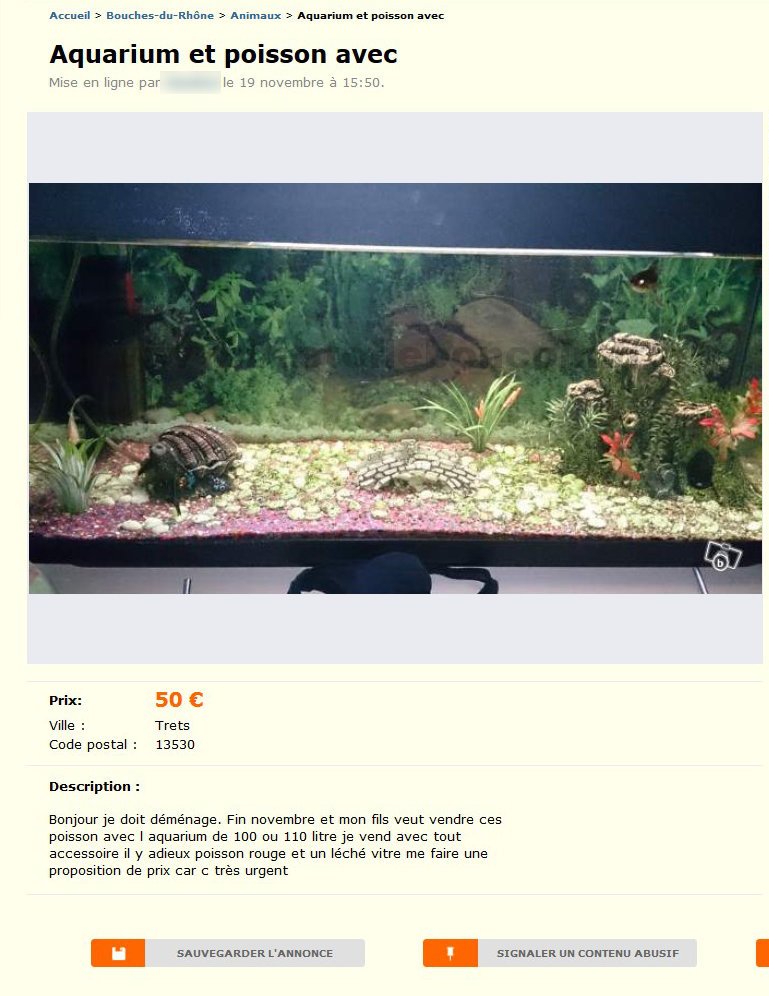 Aquarium et Poisson Avec