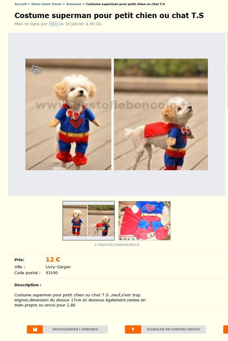 Costume Superman pour petit Chien ou Chat