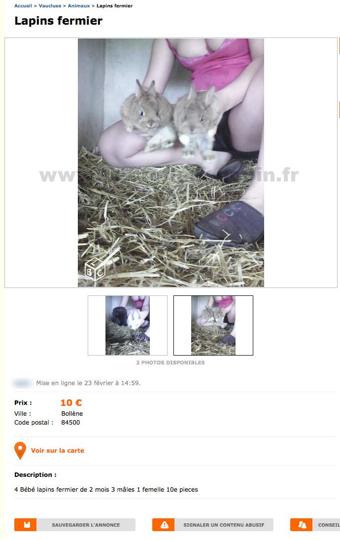 Lapins Fermier