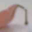 Dentier peu servi