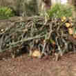 Bois de chauffage
