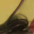 Pompe aquoiriome