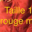 Veste manche courte