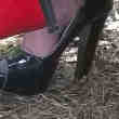 Talon haut