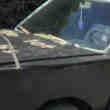 Voiture bateau