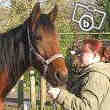 Cheval Trop Mimi