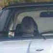 BMW Cabriolet