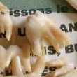 Dents d'animaux