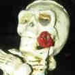 Statue Tête de Mort