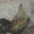 Poule Naine