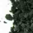 Salvia Divinorum