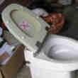 WC Type Sony Broyeur