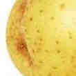 Echange Pomme de Terre