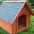 Niche Neuve