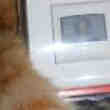 Interrupteur Automatique Legrand