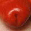 Graines Piment Penis