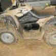Quad