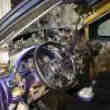 JDM Simpa