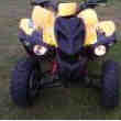 Quad 300 Adly Omologue