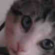 Cherche Colocation Sympa