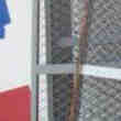 Joli Grilles Pour Chenille