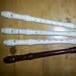 Flutes à Bec en Collection