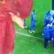A saisir mascotte de l'Equipe de France