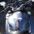 Yamaha FJR ABS AS