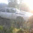 Jaguar dans l'Etat Complete