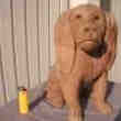 Urne Funéraire pour Chiens type Cocker