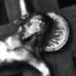 Véritable Clou de Crucifixion
